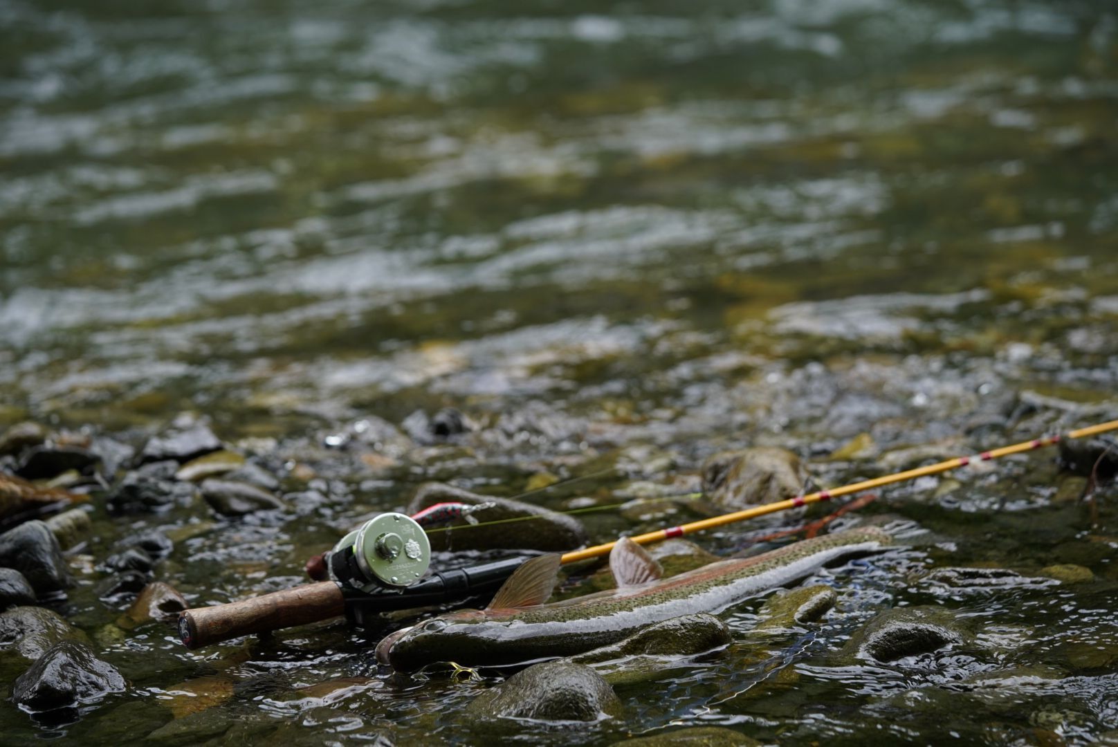 Sports Fishing Tools かねは商店